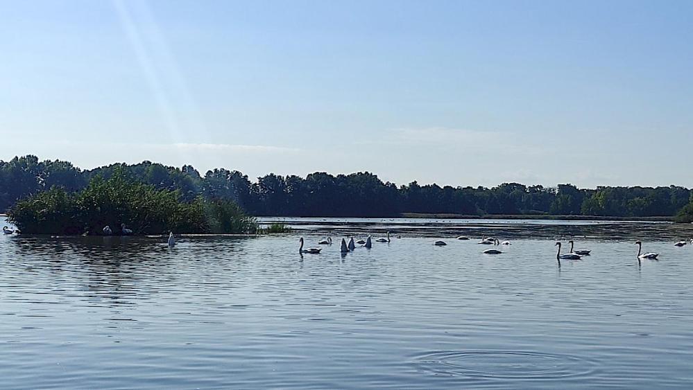 Ferienwohnung Am Olbasee Malschwitz Exterior foto